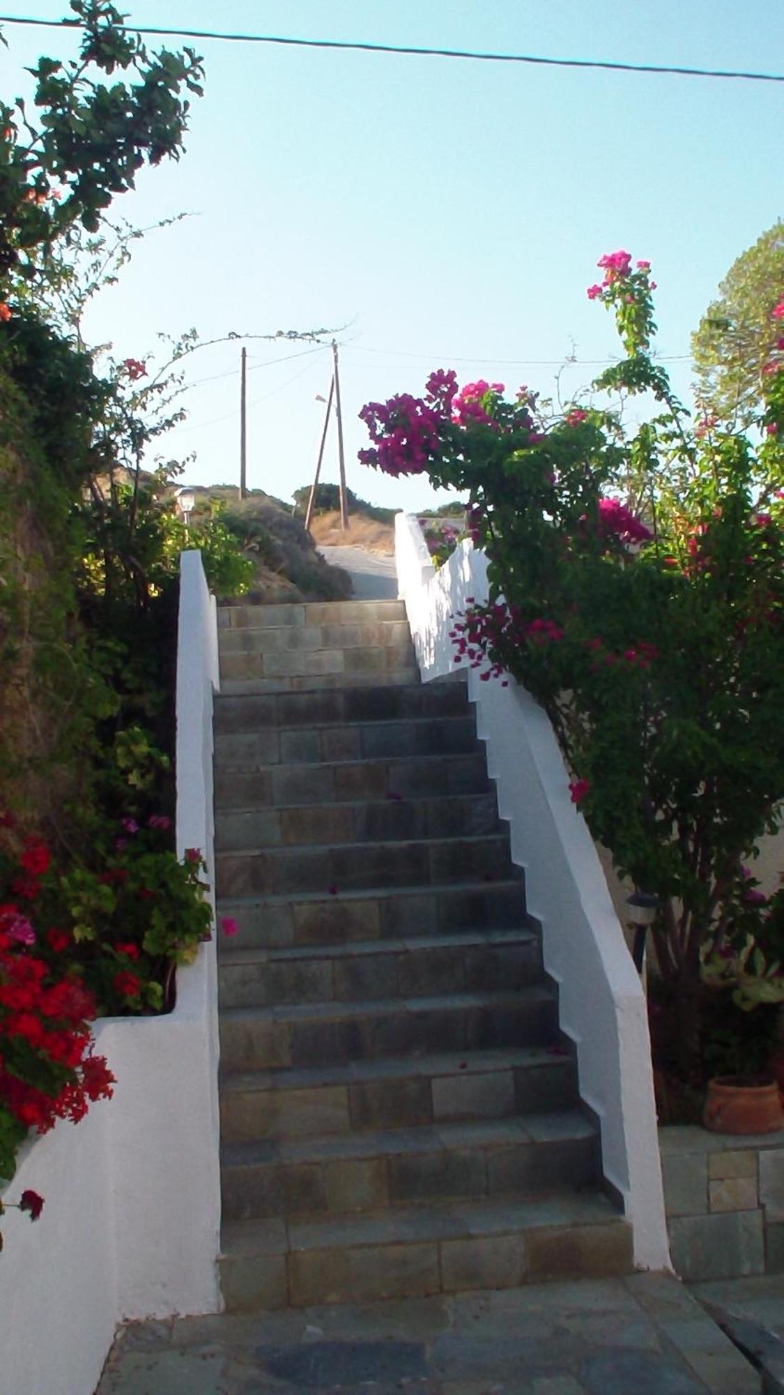 Creta Vassakis 2 * Kefalos (Kos)
