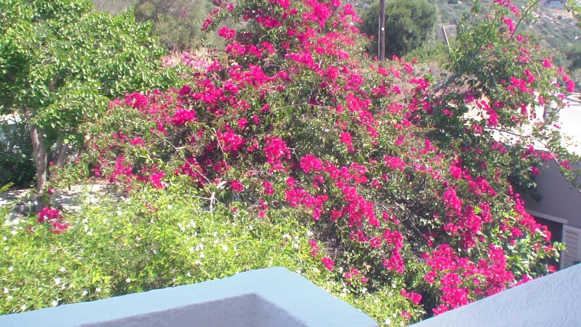 Apartment Creta Vassakis 2 *